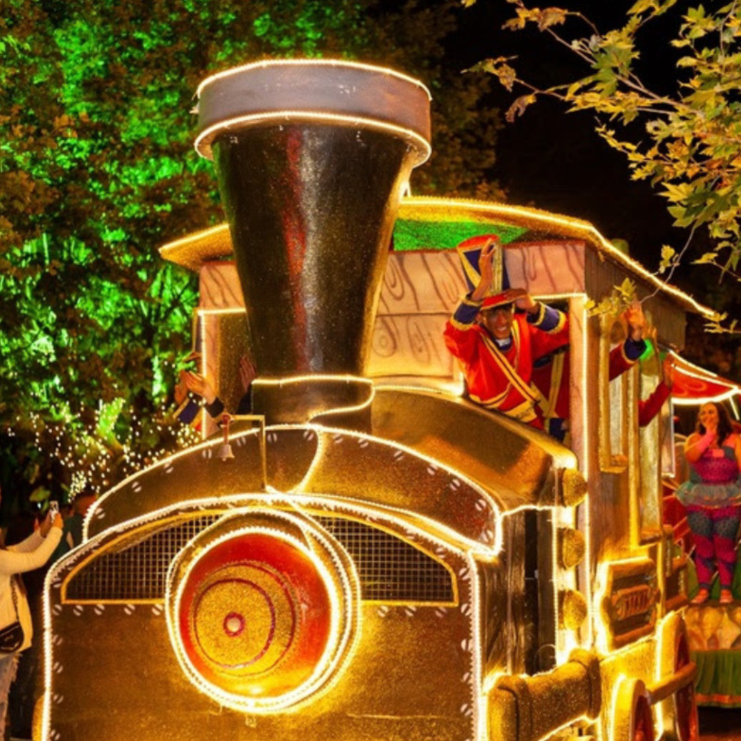 Natal dos sonhos em Campos do Jordão De 19 a 21/12/2025 (Sexta a domingo)