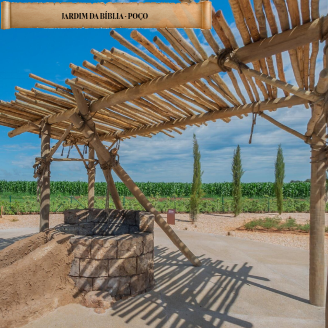 Experiencia Bíblica - MAB, Templo de Salomão, Jardim Bíblico e Museu da Bíblia 14 a 16 Novembro 2025 - SP