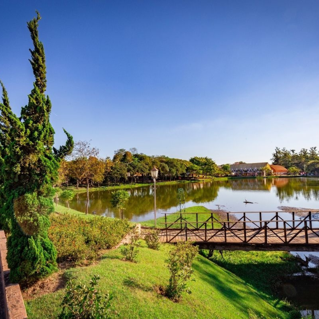 Expoflora - Holambra 2025- SP de 10 a 13 setembro 2026 - Excursão