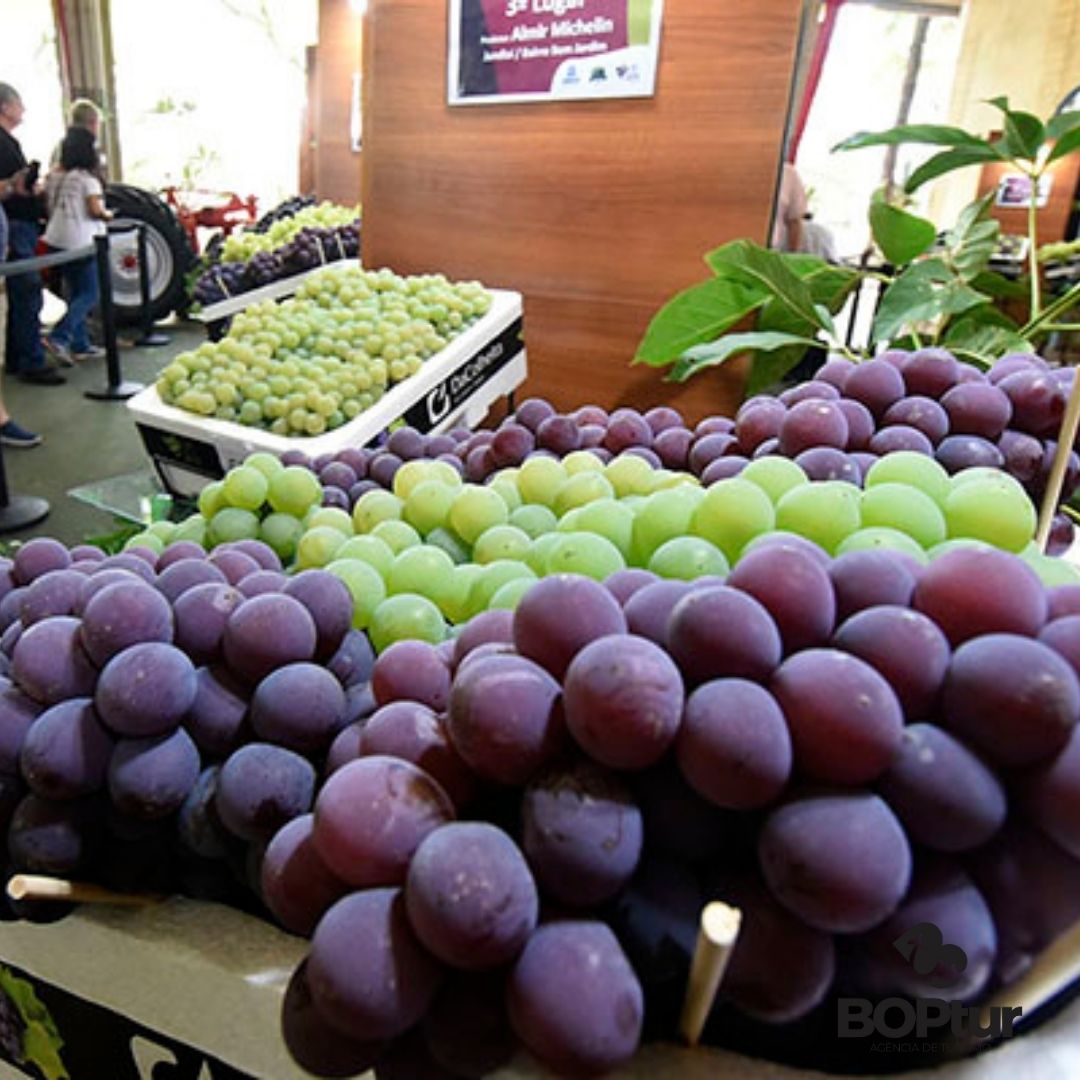 Festa da uva - Jundiaí