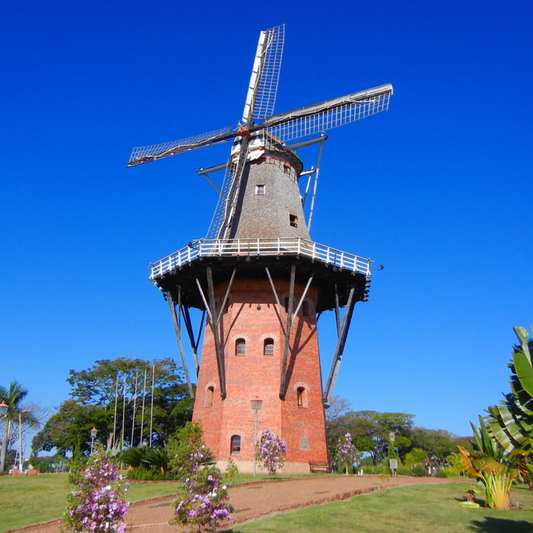 Expoflora - Holambra 2025- SP de 10 a 13 setembro 2026 - Excursão