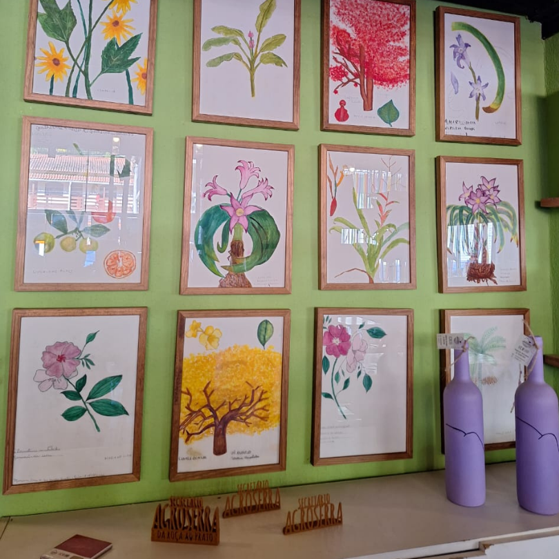 Secretário (Petrópolis) e Sebollas (Paraíba do Sul) RJ - 20/11/2025