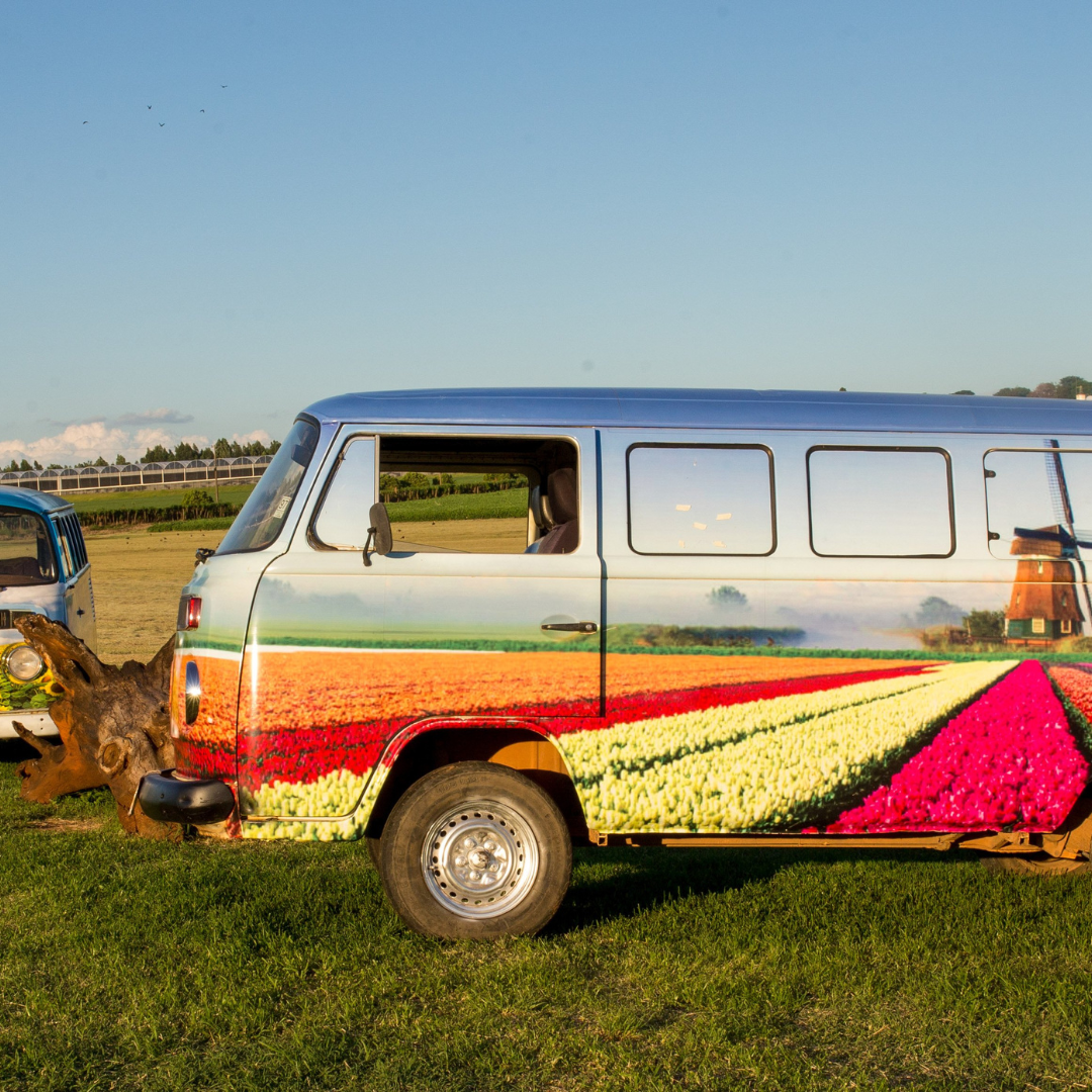 Expoflora - Holambra 2025- SP de 10 a 13 setembro 2026 - Excursão