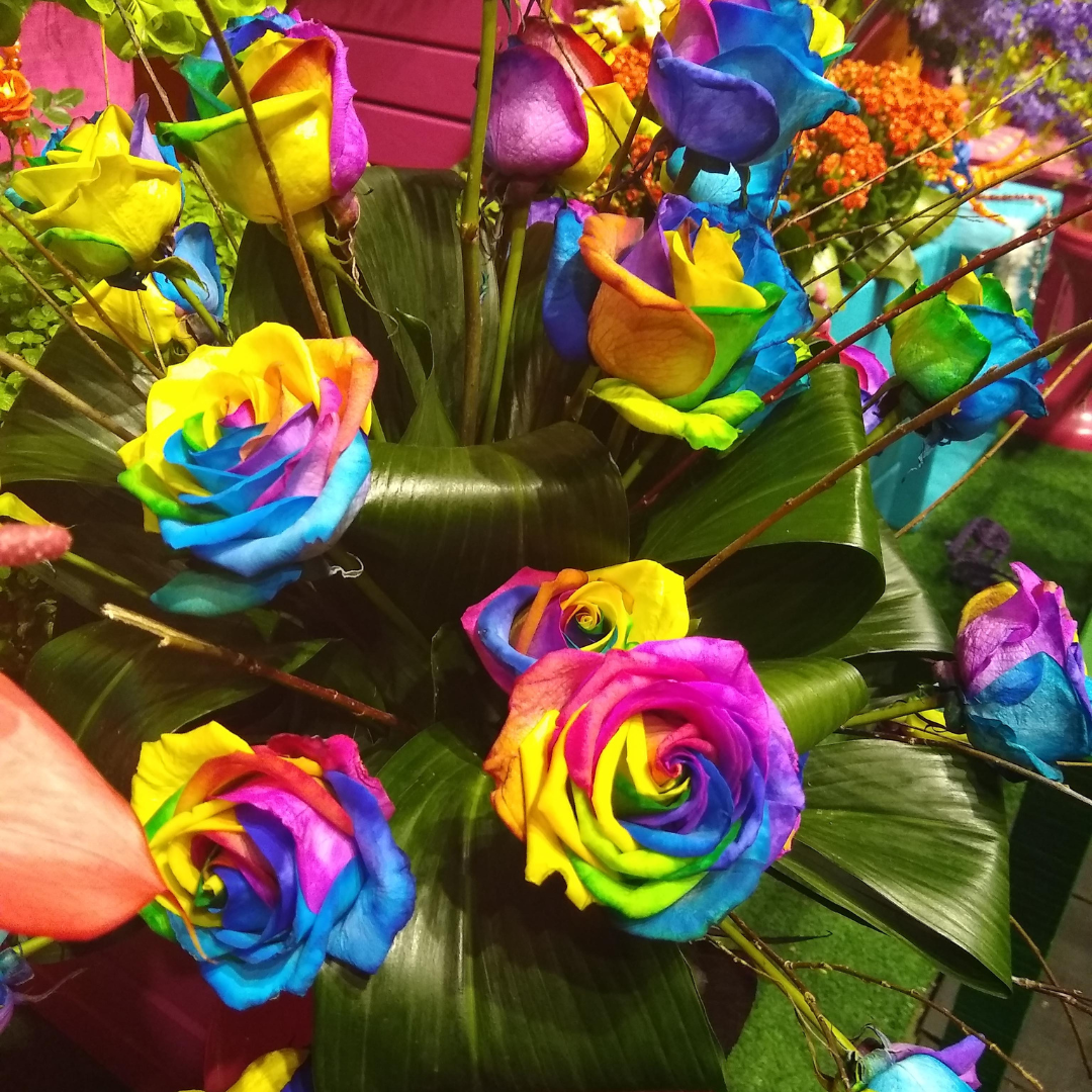 Expoflora - Holambra 2025- SP de 10 a 13 setembro 2026 - Excursão