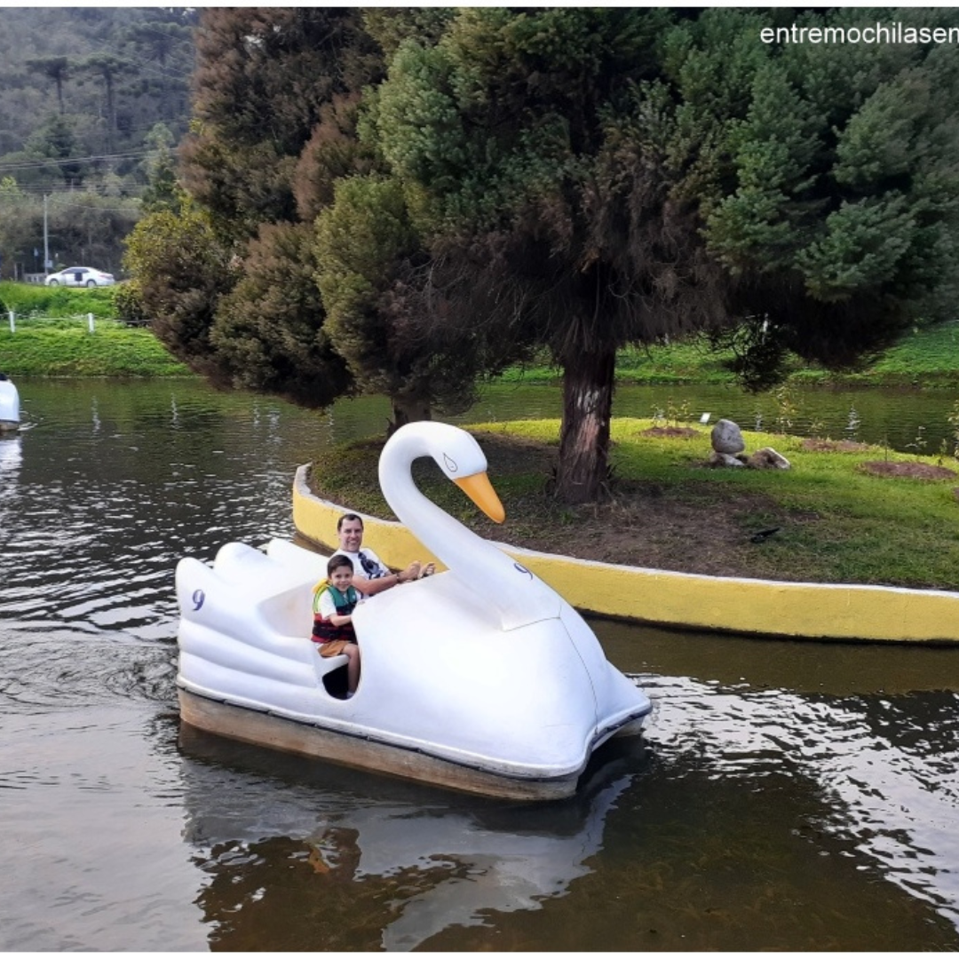 Natal dos sonhos em Campos do Jordão De 19 a 21/12/2025 (Sexta a domingo)