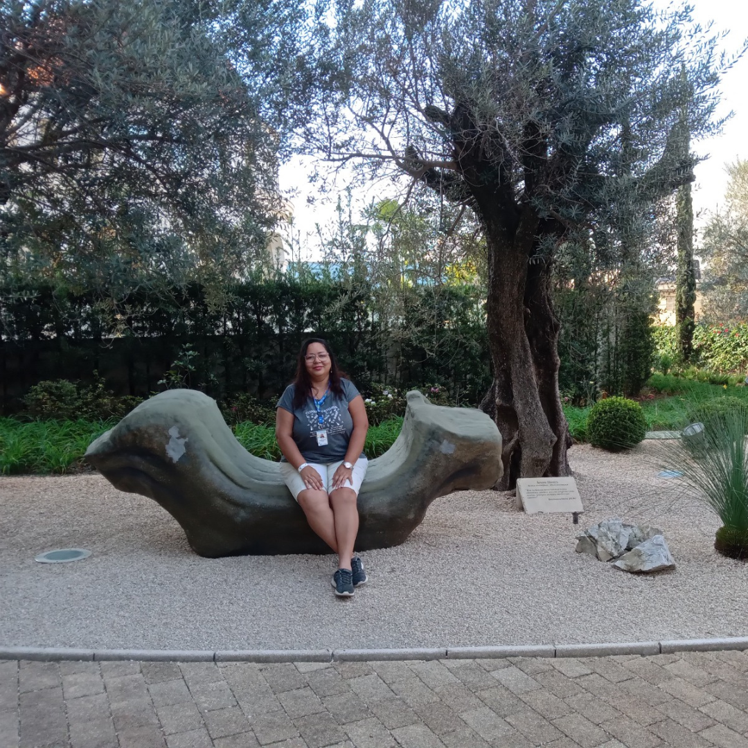 Experiencia Bíblica - MAB, Templo de Salomão, Jardim Bíblico e Museu da Bíblia 14 a 16 Novembro 2025 - SP