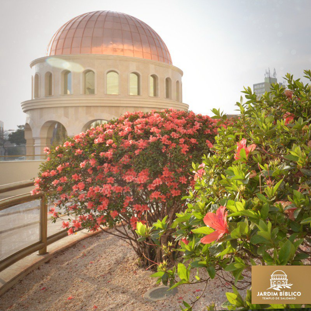Experiencia Bíblica - MAB, Templo de Salomão, Jardim Bíblico e Museu da Bíblia 14 a 16 Novembro 2025 - SP