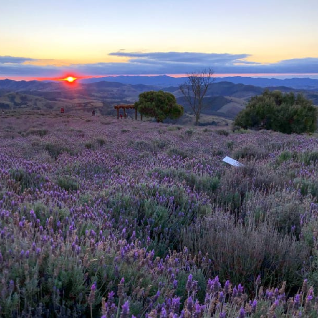 Cunha - SP, 21 a 23 de novembro 2025 - Excursão