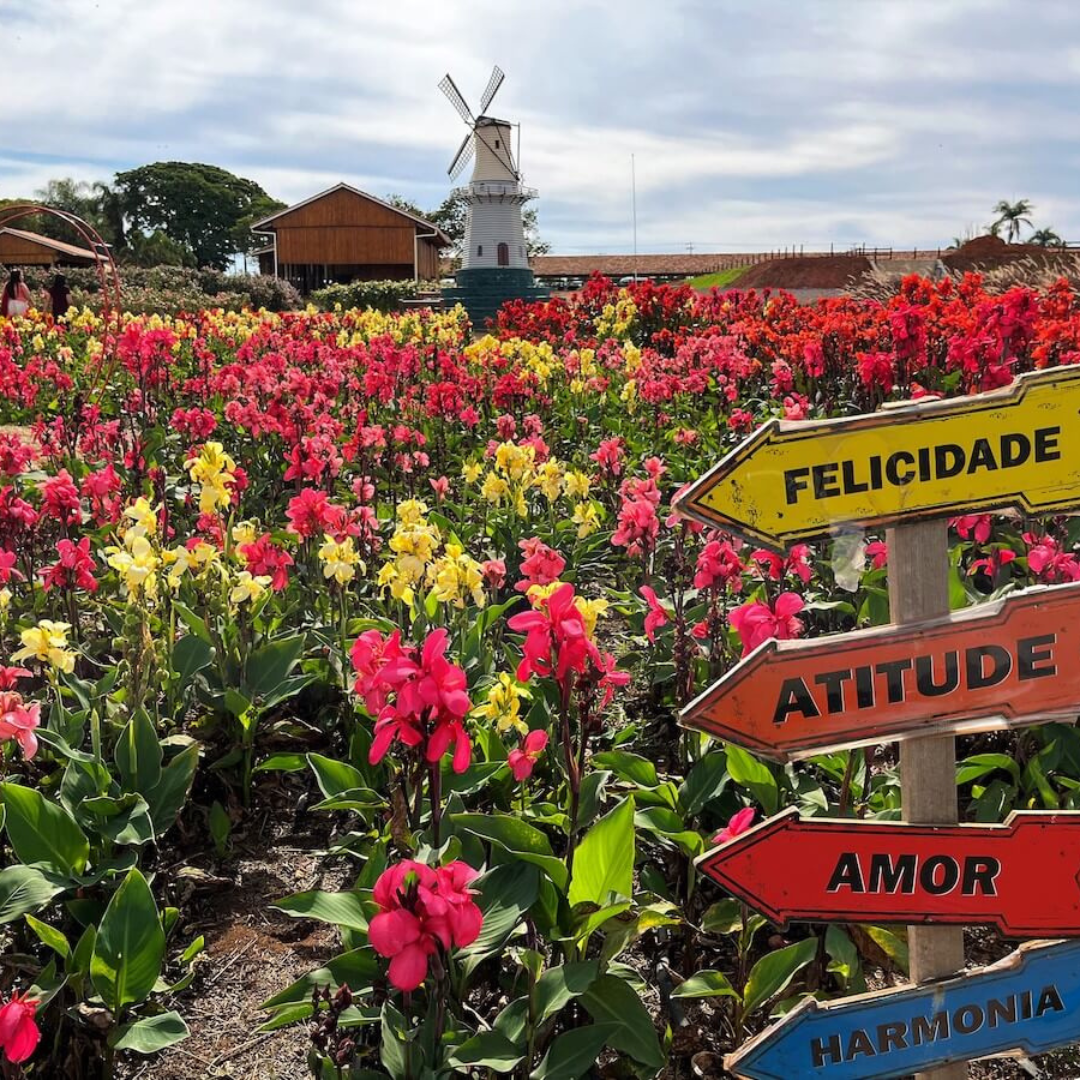 Expoflora - Holambra 2025- SP de 10 a 13 setembro 2026 - Excursão