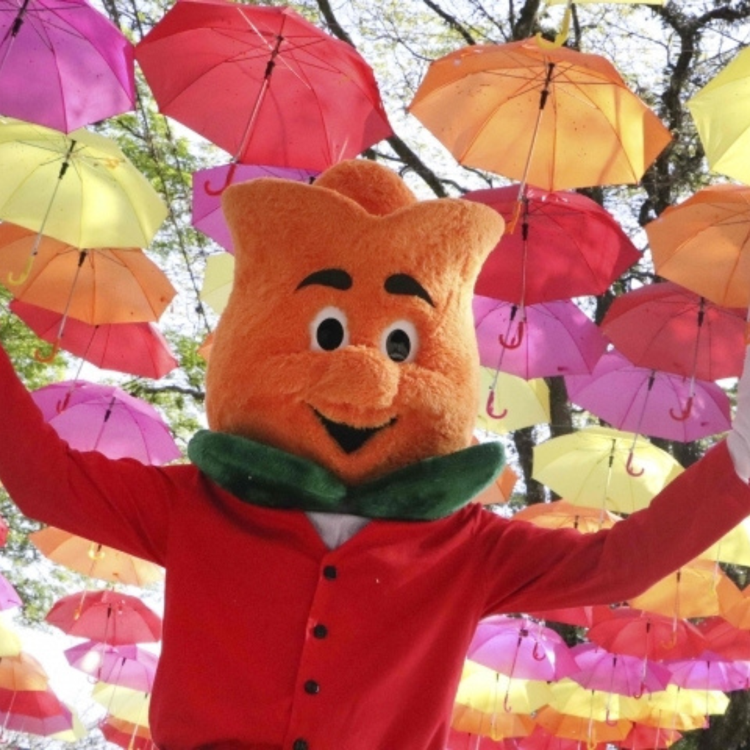 Expoflora - Holambra 2025- SP de 10 a 13 setembro 2026 - Excursão