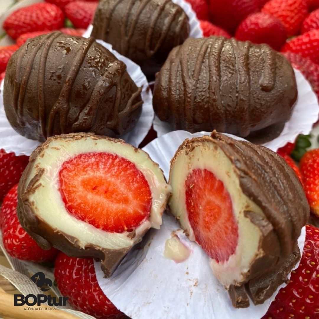 07/11/2026 - Nova Friburgo