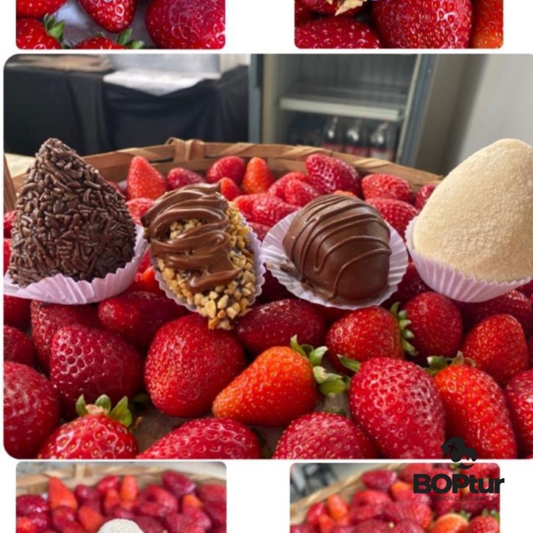 07/11/2026 - Nova Friburgo