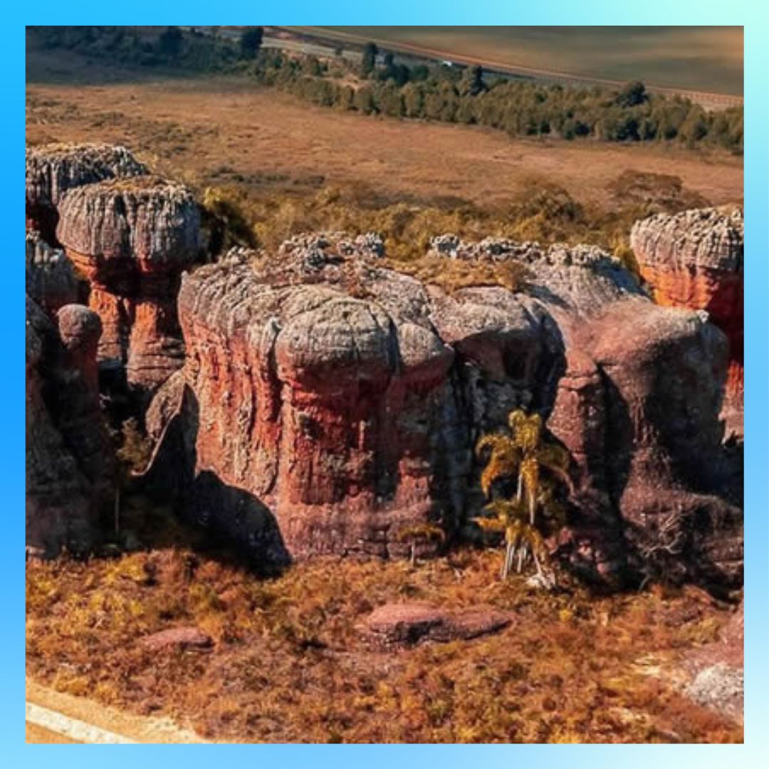 Carnaval Paraná De 12 a 18 de Fevereiro de 2026