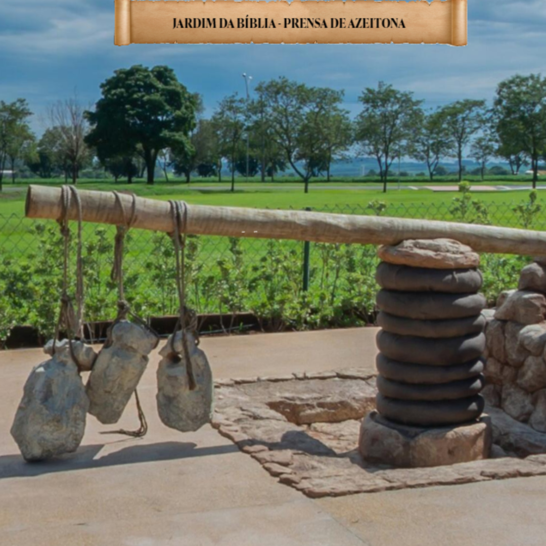 Experiencia Bíblica - MAB, Templo de Salomão, Jardim Bíblico e Museu da Bíblia 14 a 16 Novembro 2025 - SP