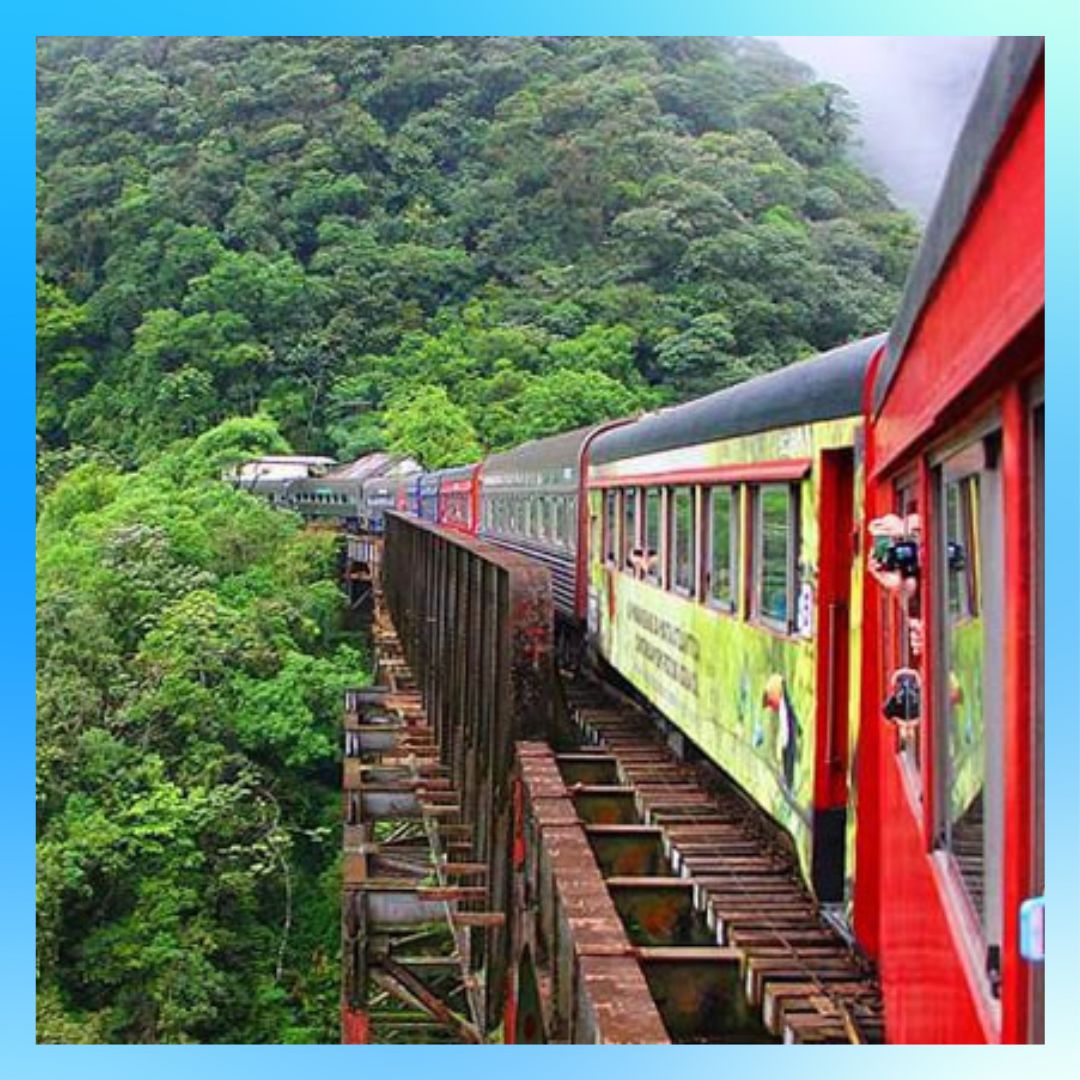 Carnaval Paraná De 12 a 18 de Fevereiro de 2026