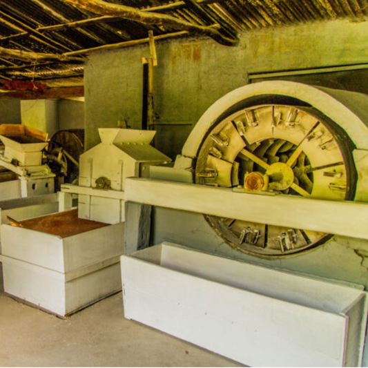 Roteiro rural Tanguá - 10/01/2026