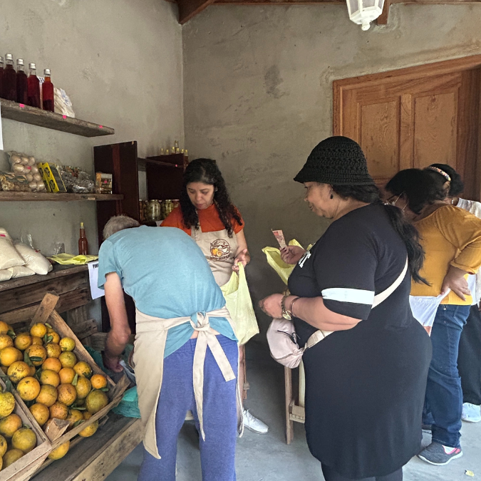 Roteiro rural Tanguá - 10/01/2026