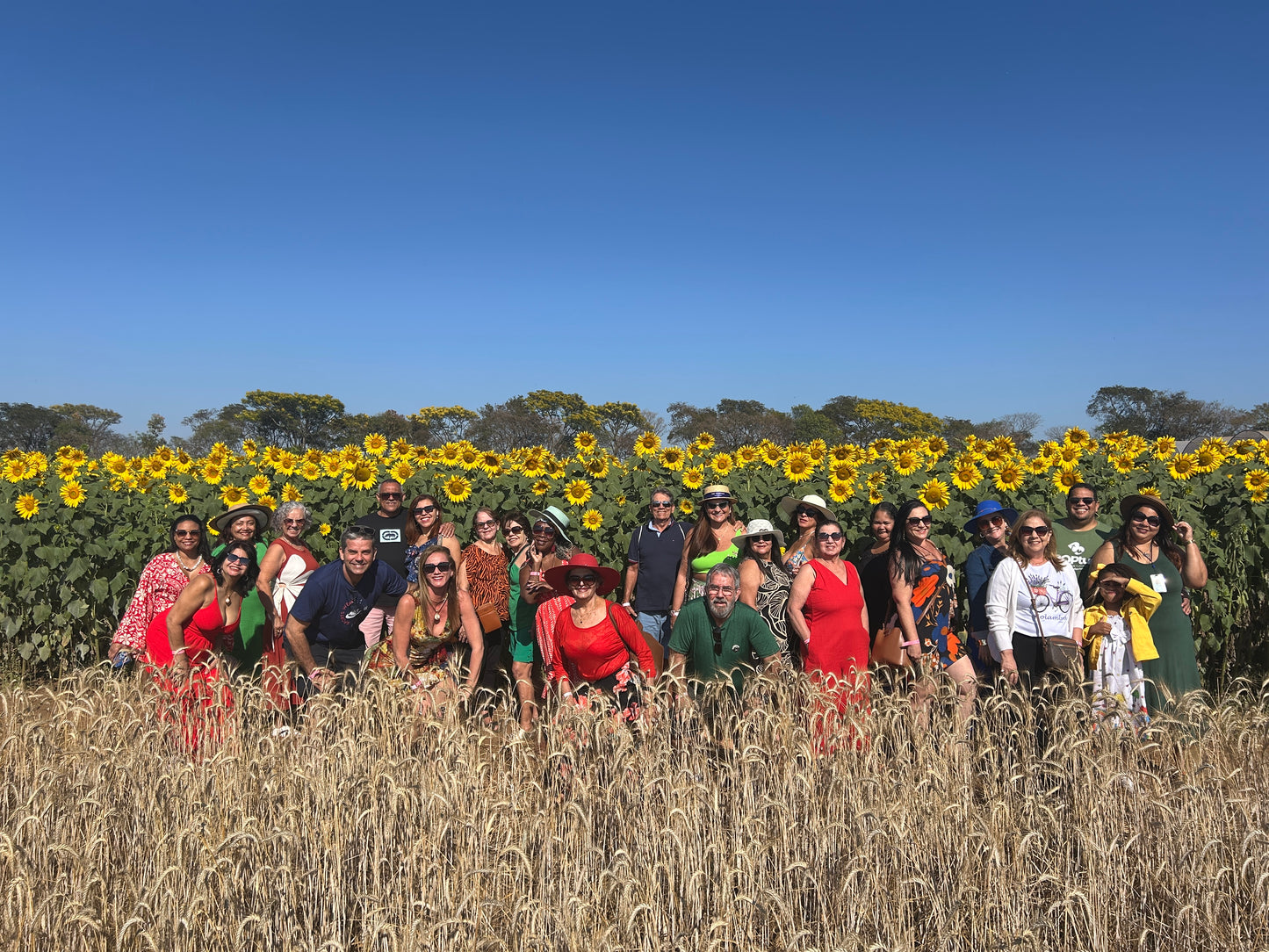 Expoflora - Holambra 2026- SP de 04 a 07 setembro 2026 - Excursão - Sinal 30% para garantir a vaga - Pacote duplo